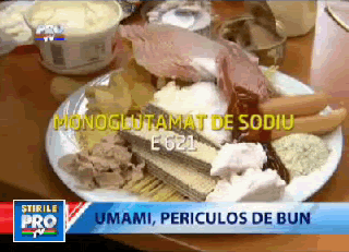 Umami si monoglutamatul de sodiu (E621) si si bolile grave declansate in timp