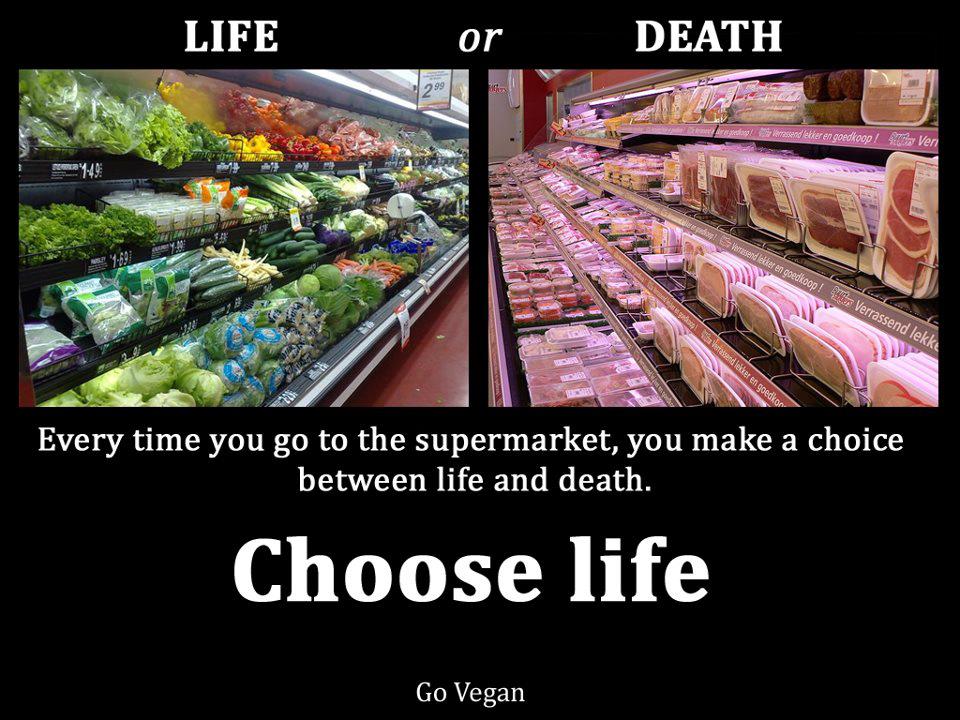 De fiecare data cand mergi la supermarket, la piata, faci o alegere intre viata si moarte. - Este alegerea ta. - Lasa animalele in pace si pastreaza-ti organele sanatoase, ramai sanatos - Alege Viata. Devino Vegan.
